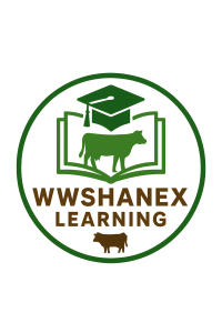 Wwshanexlearning